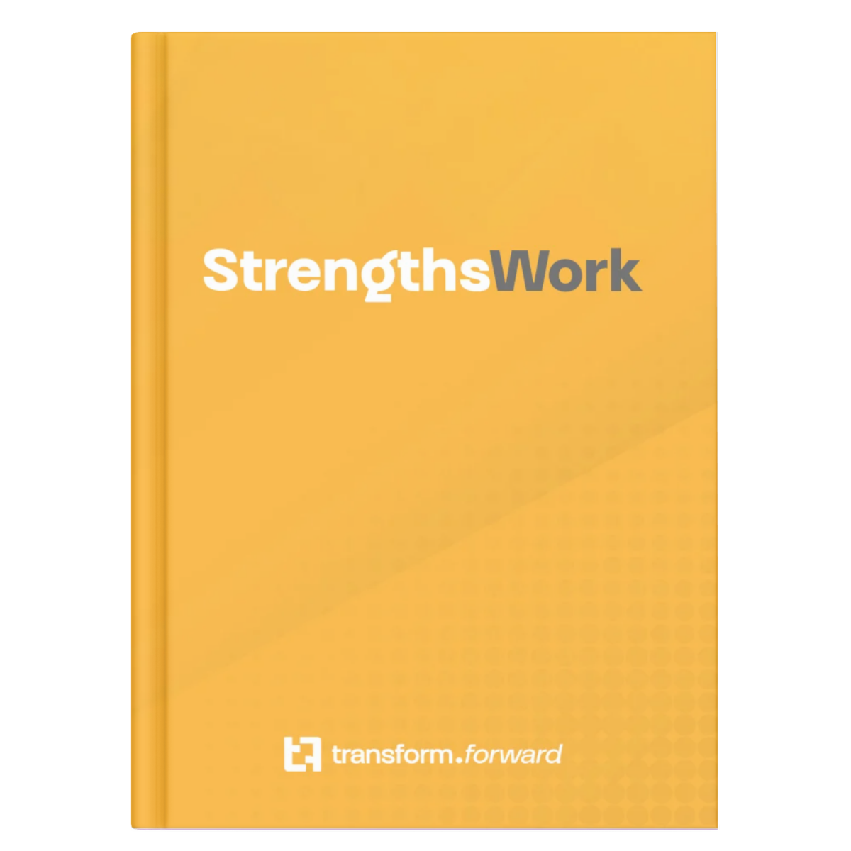 StrengthsWork curriculum book from transform.forward