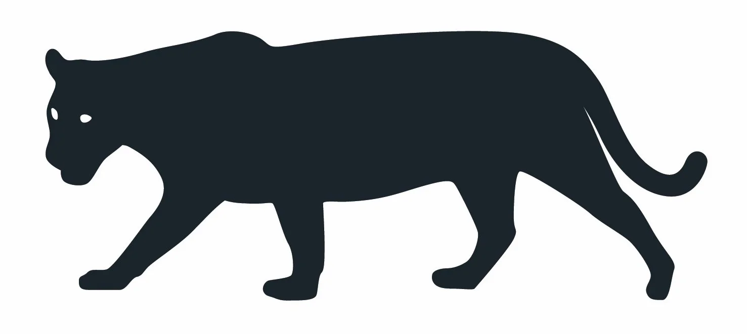 Moon Jaguar Strategies