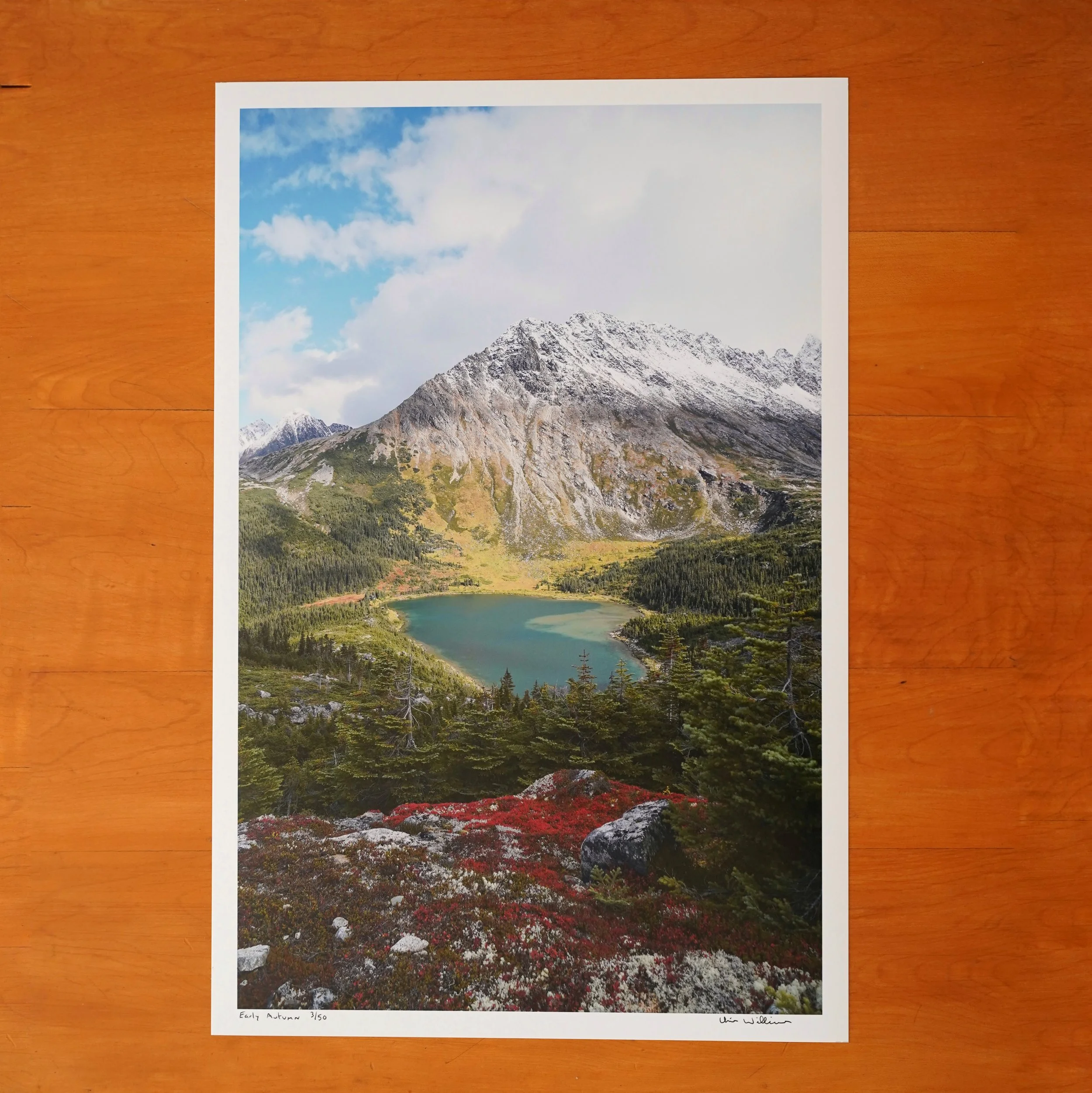 DSC02641-01.jpeg