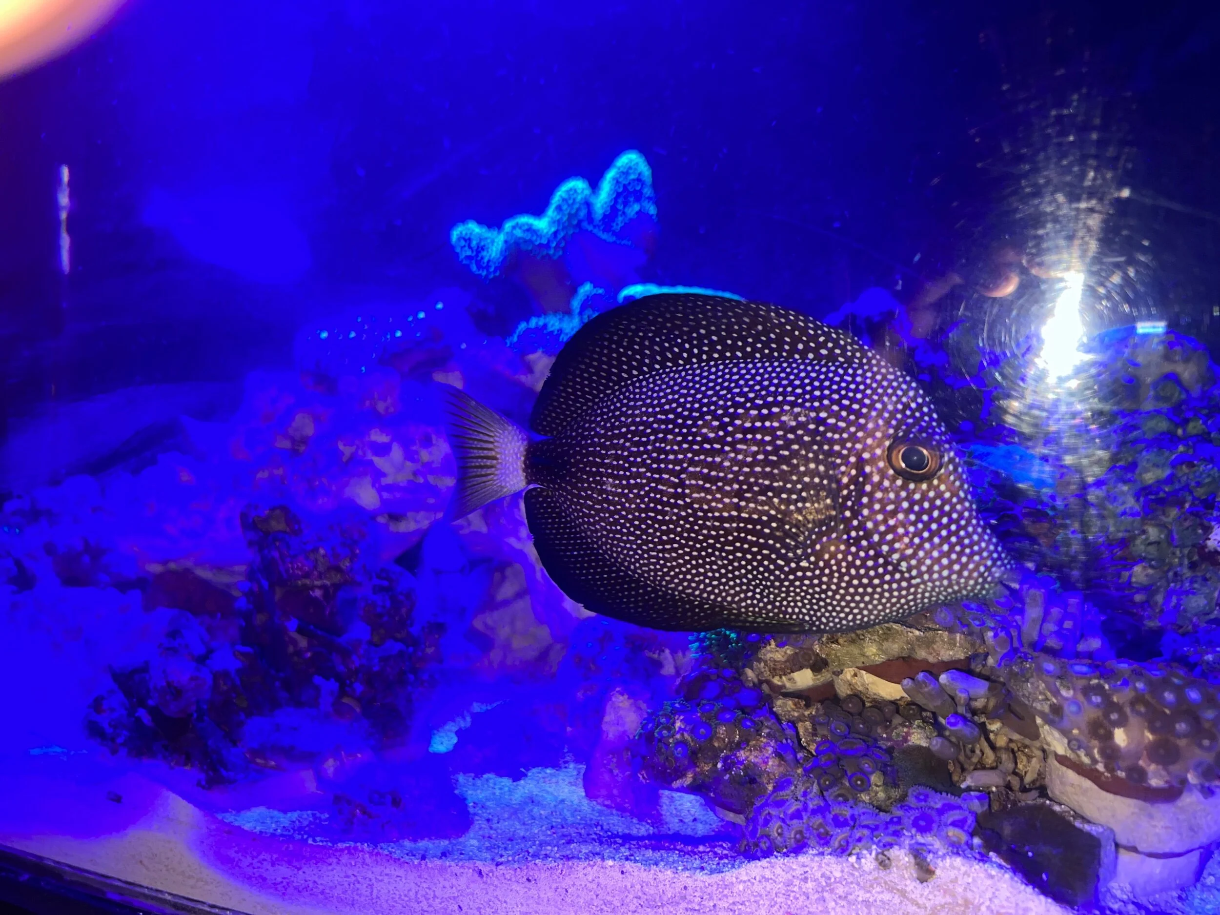 15178BC9-7389-40AA-A43B-0C30B0502369