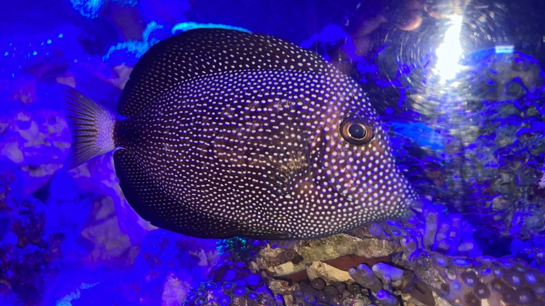 15178BC9-7389-40AA-A43B-0C30B0502369