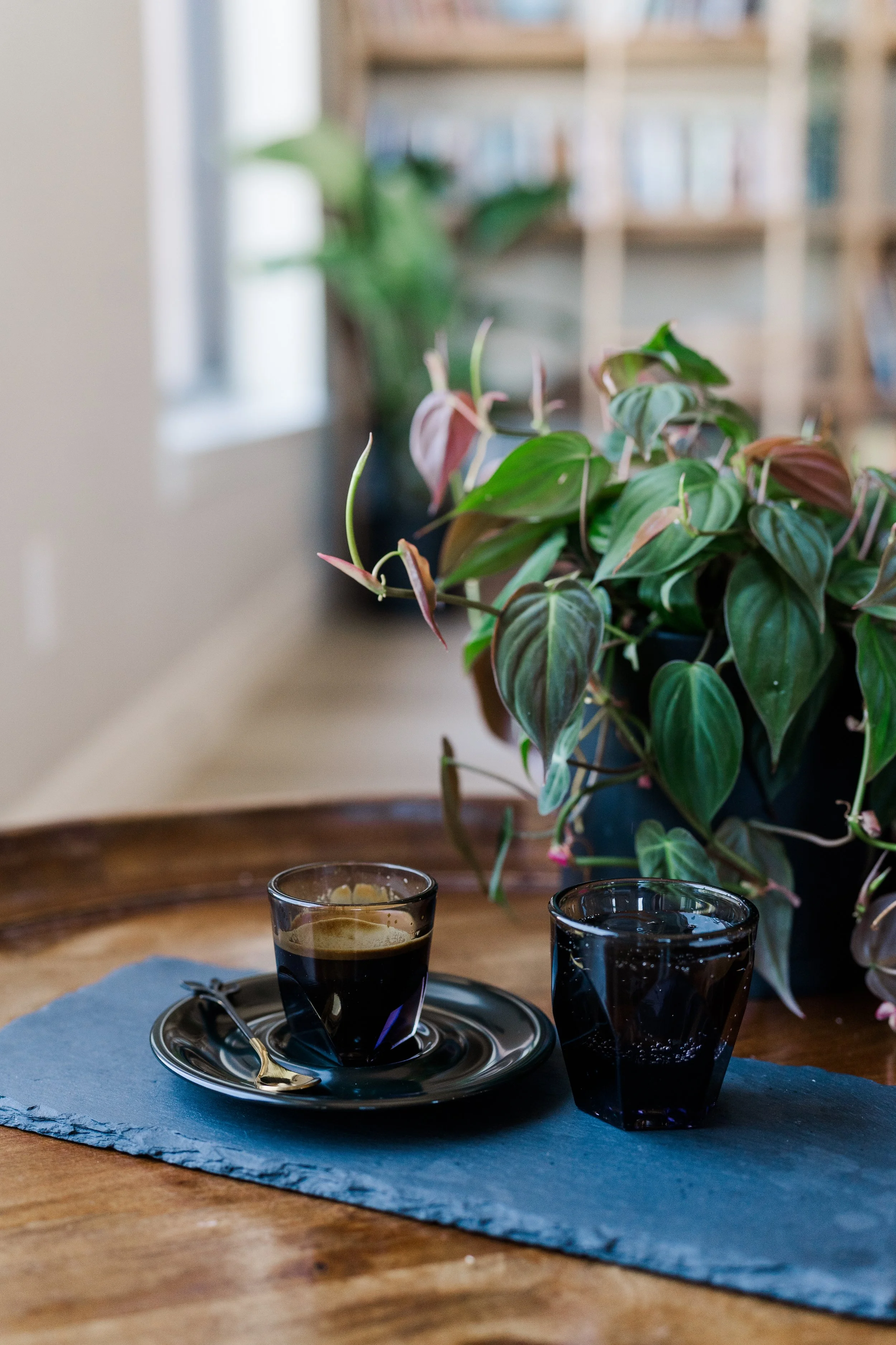 Coffee Sherman, Tx The White Rabbit Coffee House