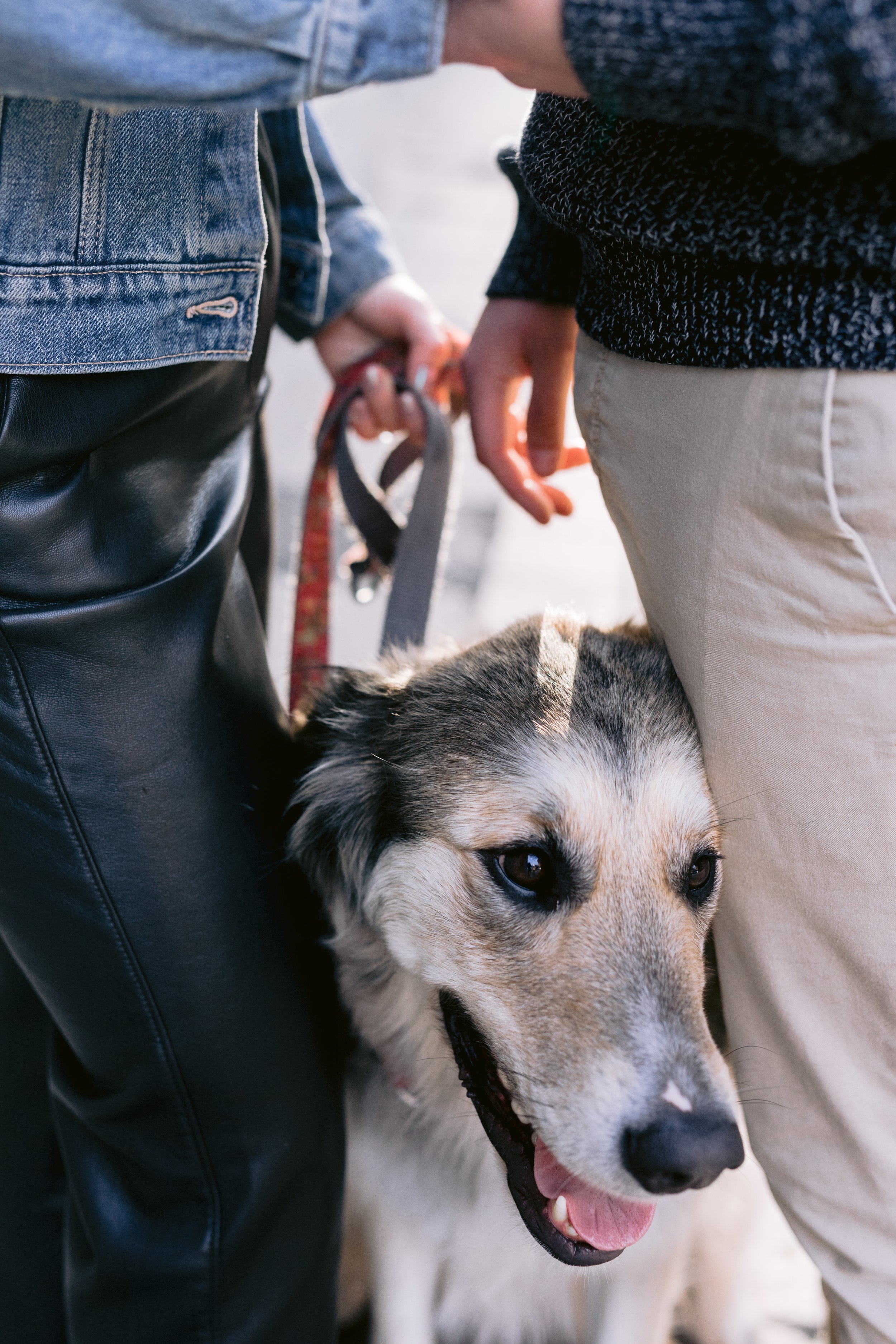 Holly and Jeremys Engagement Session-113.jpg