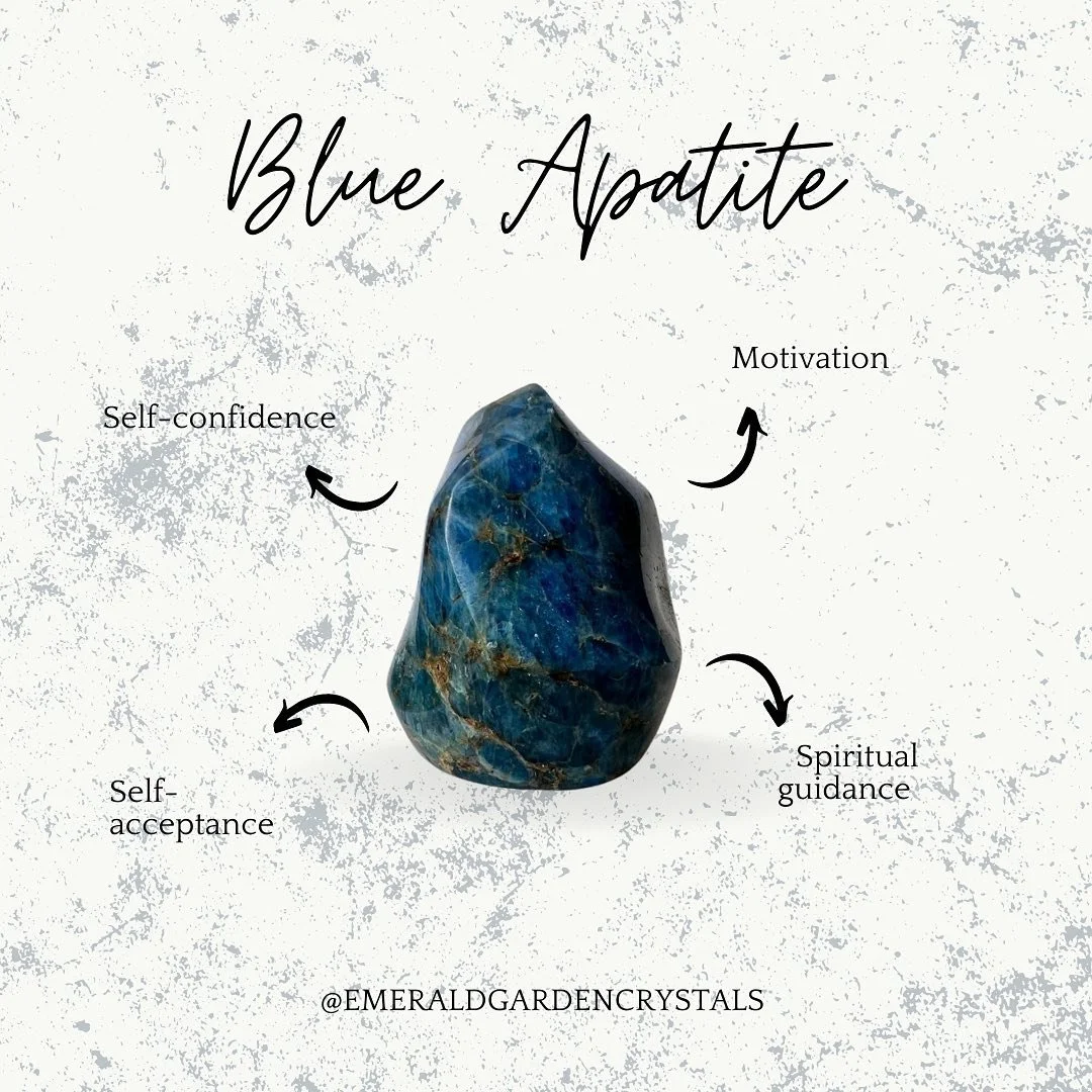 Blue Apatite is an inspirational and motivational crystal that clears the mind, stimulates creativity and strengthens your power.
.
.
.
.
#blueapatite #crystal #crystals #womanownedbusiness #crystalbusiness #smallbusinessowner
