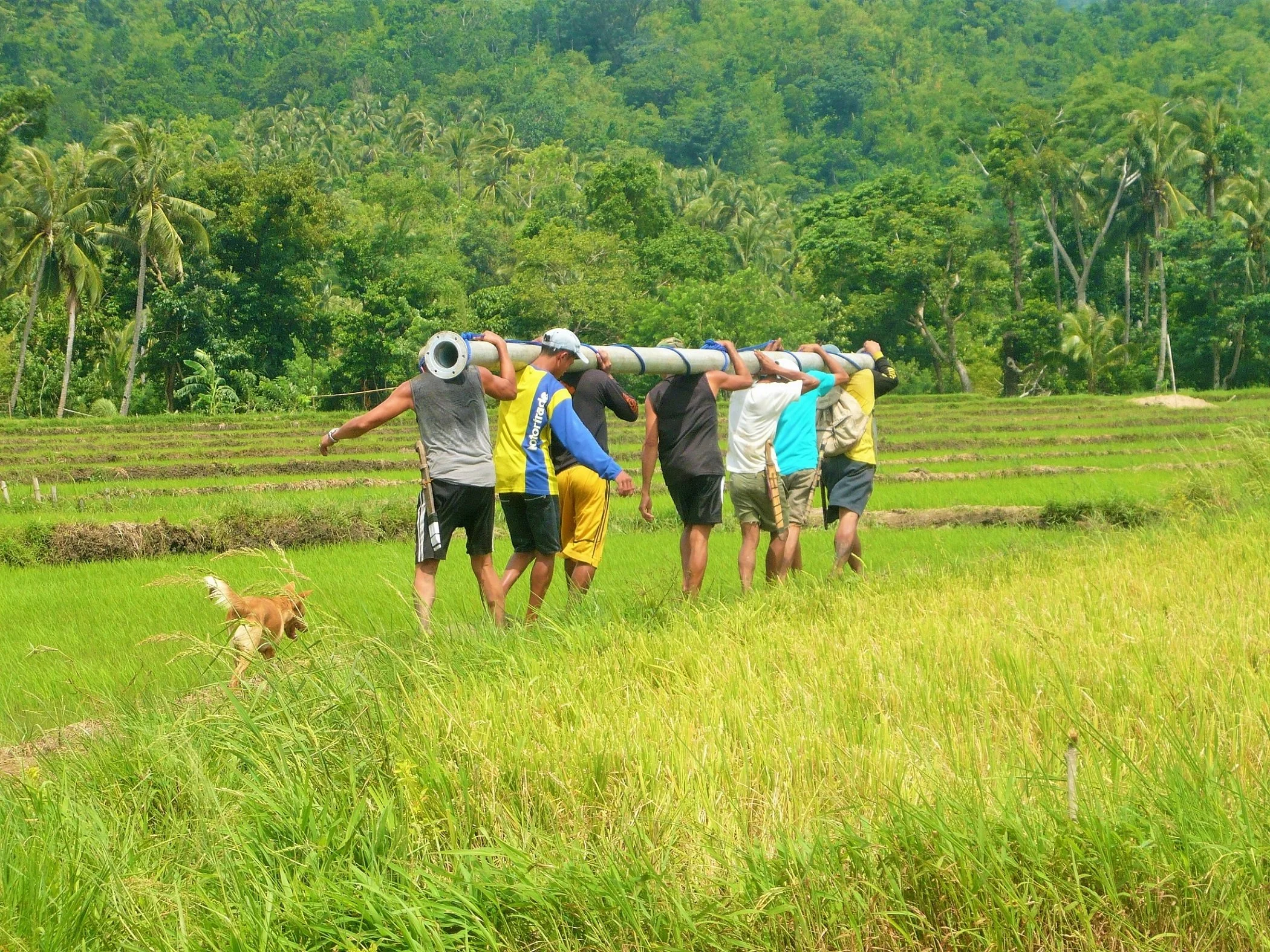 Alternative Indigenous Development Foundation, Inc. (AIDFI)