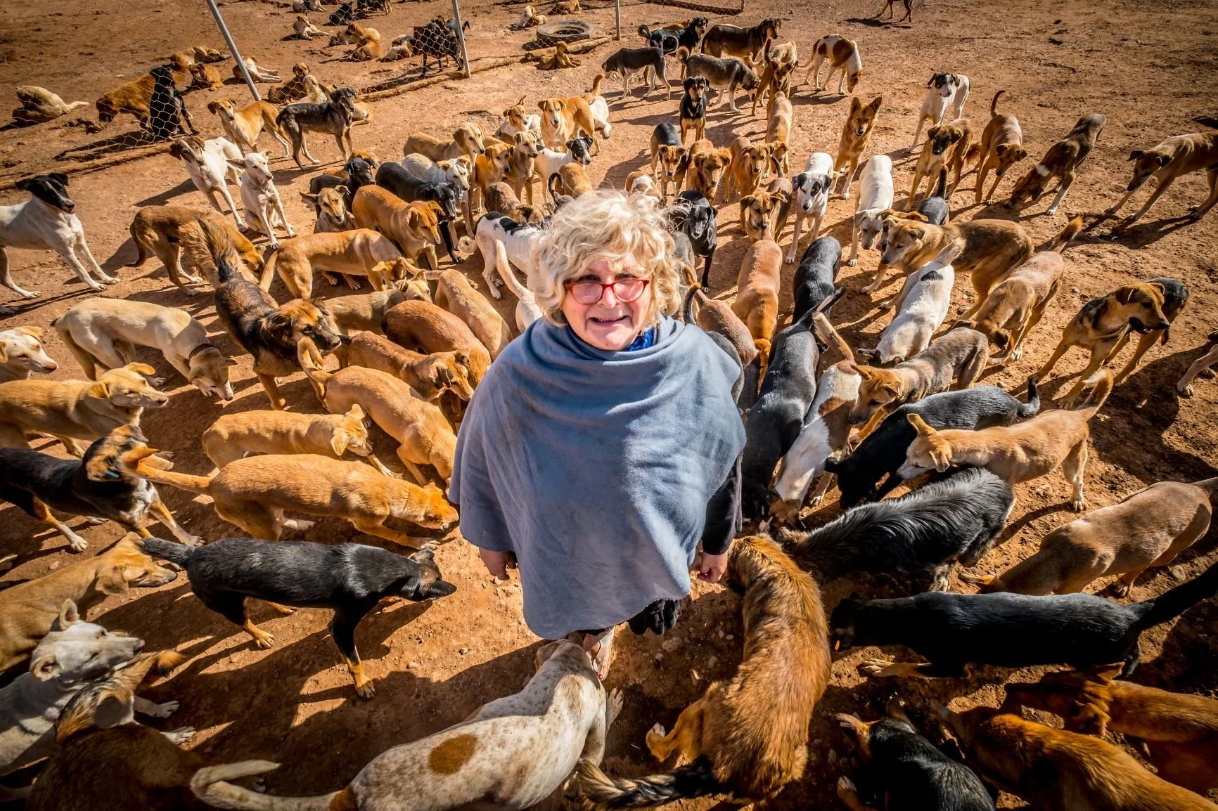 Association Sunshine Animal Refuge Agadir