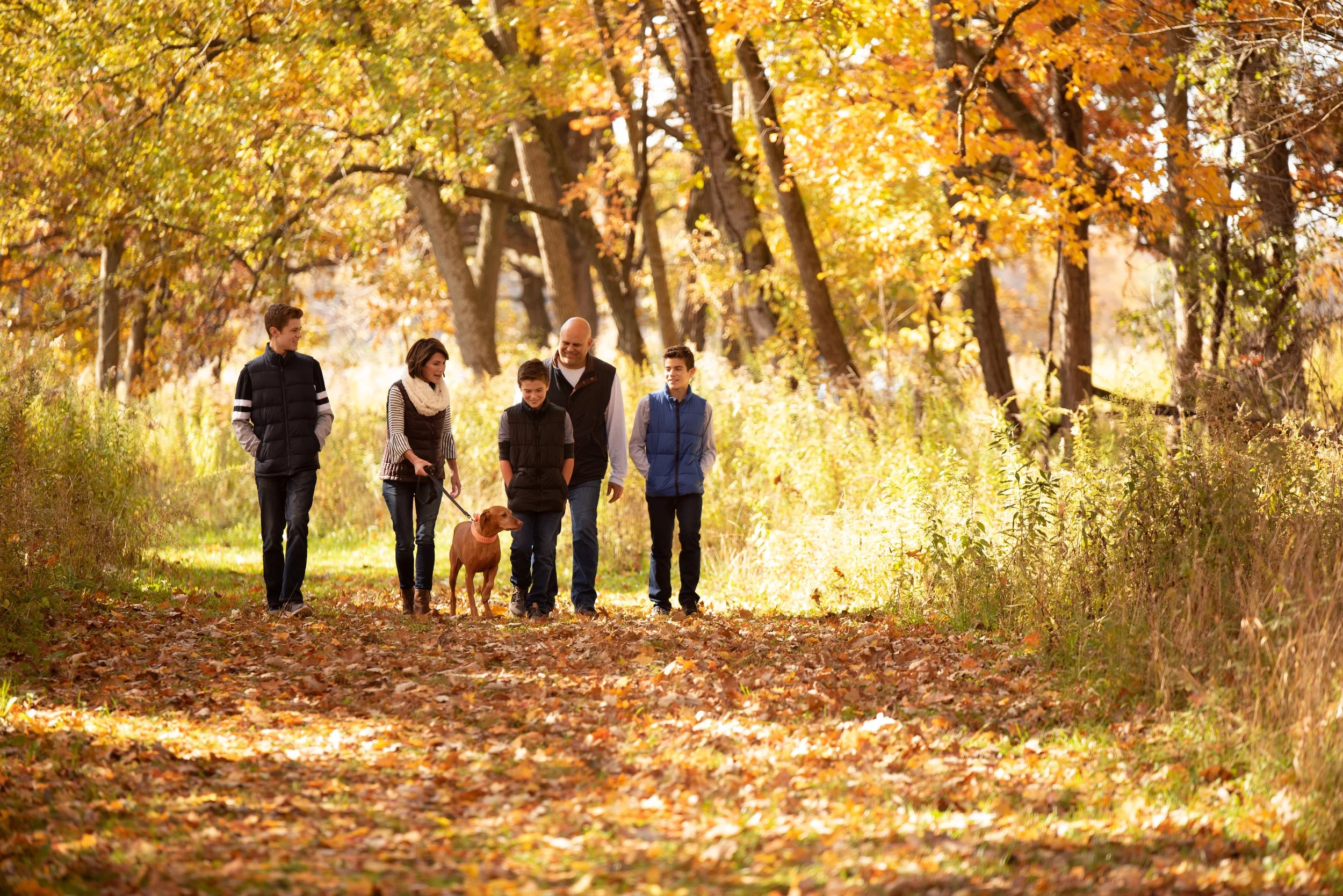 Kramer Kraftography 8.jpg