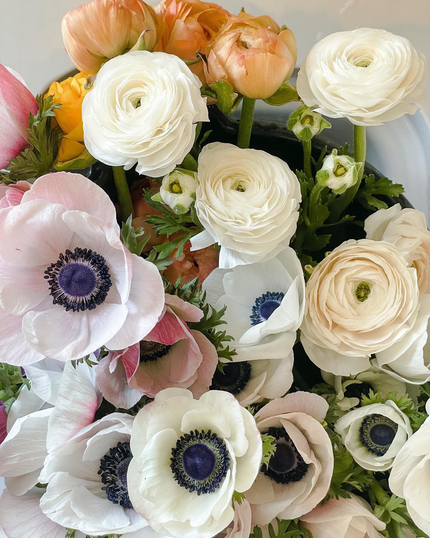 The ranunculus and anemones are getting ready to put on a big Spring Show for us here at the farm and I couldn&rsquo;t be more excited to get my hands on some flowers. I absolutely love growing, but I love sharing my flowers with our local community 