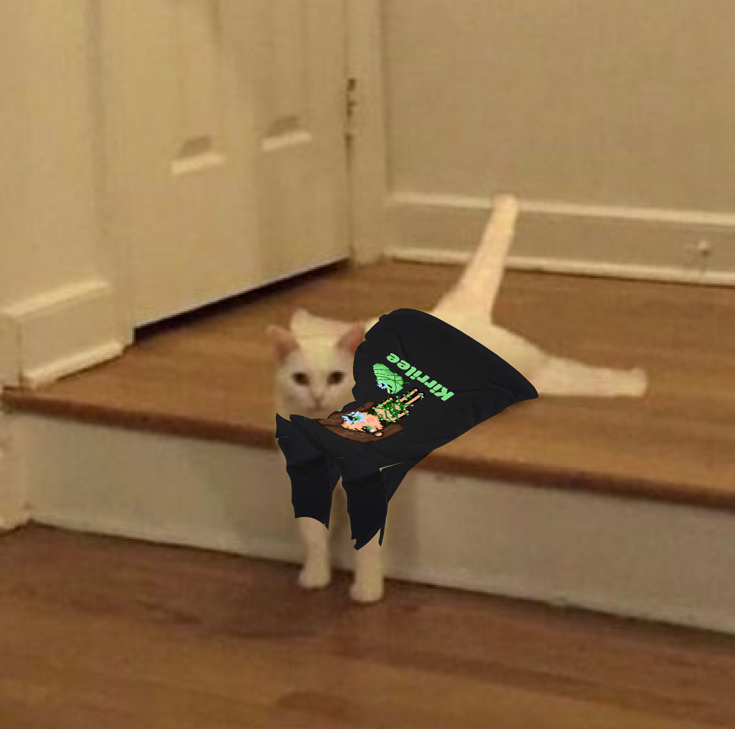 4.png