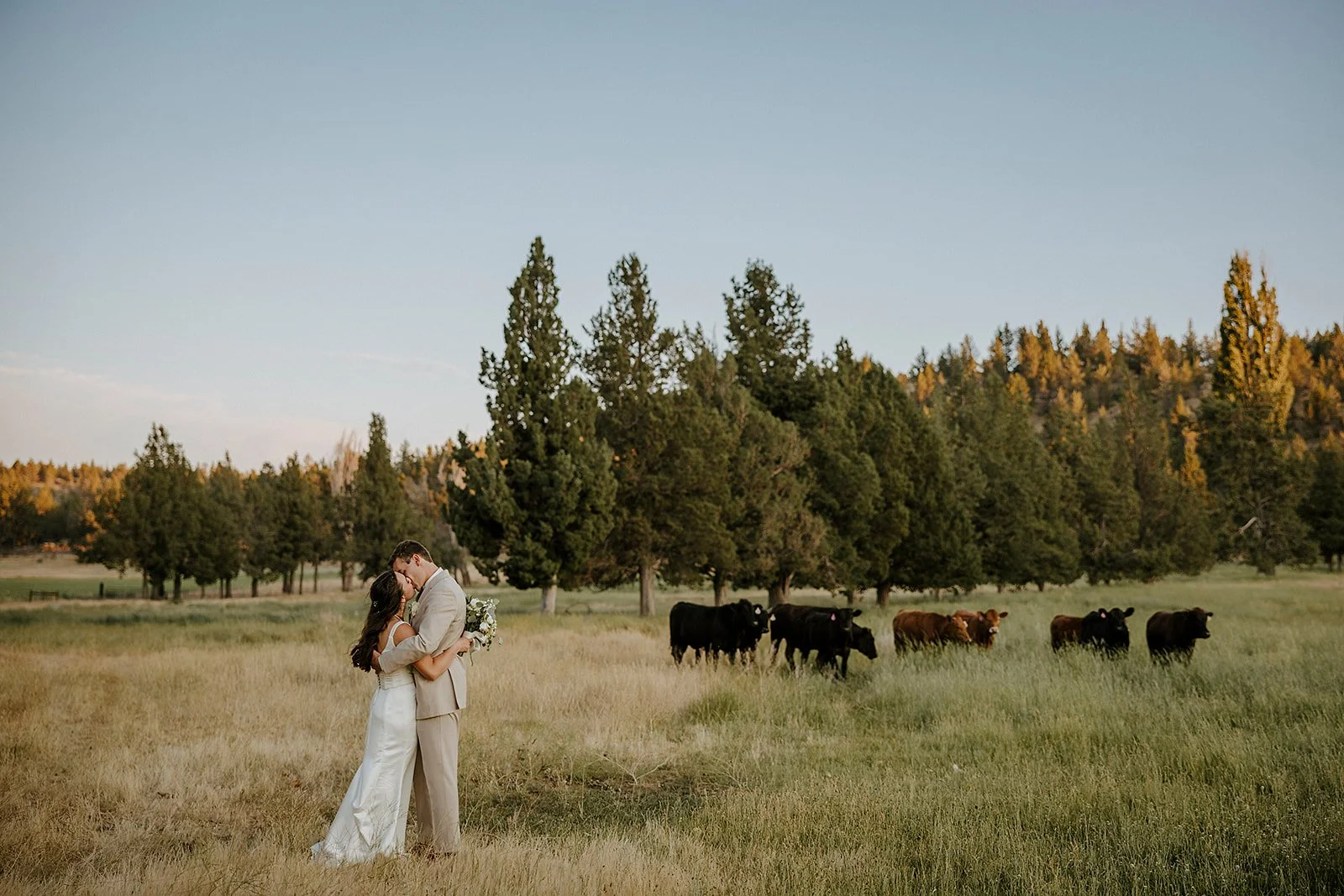 The  Best  Ways  to  Incorporate  Horses  &amp;  Western Details  into  Your  Wedding