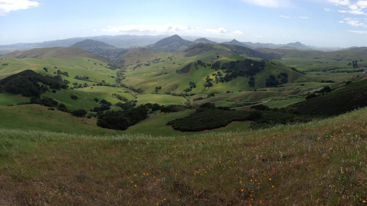 Miossi open space