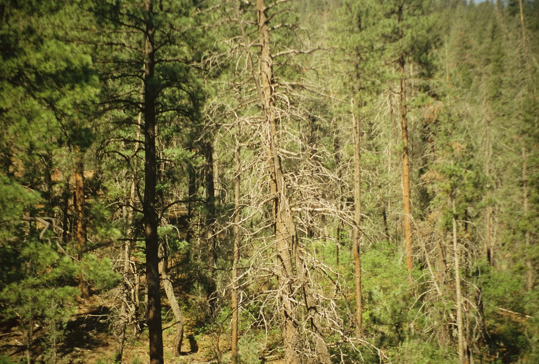 R1-09740-0022.JPG