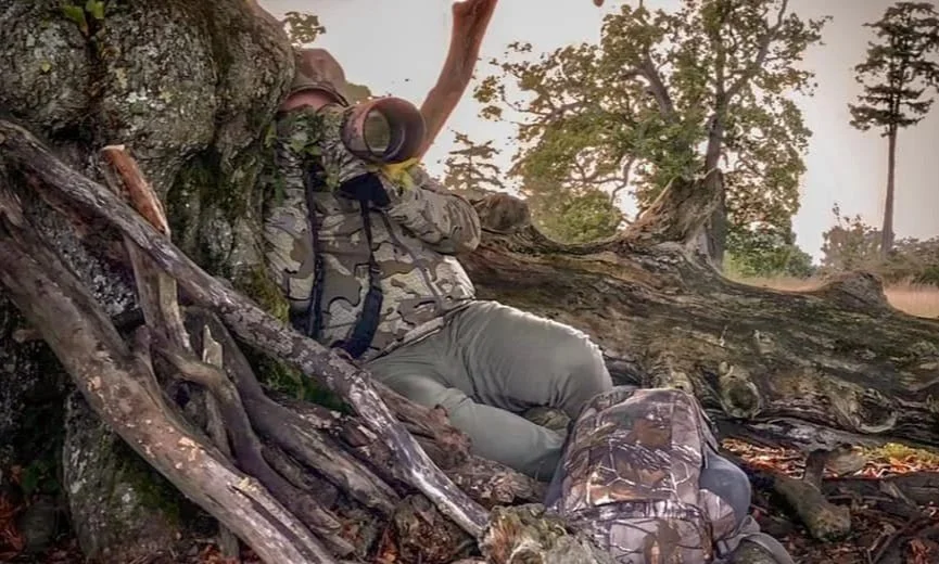 Part One: Beginning the Journey – Fieldcraft and Ethical Wildlife Photography
