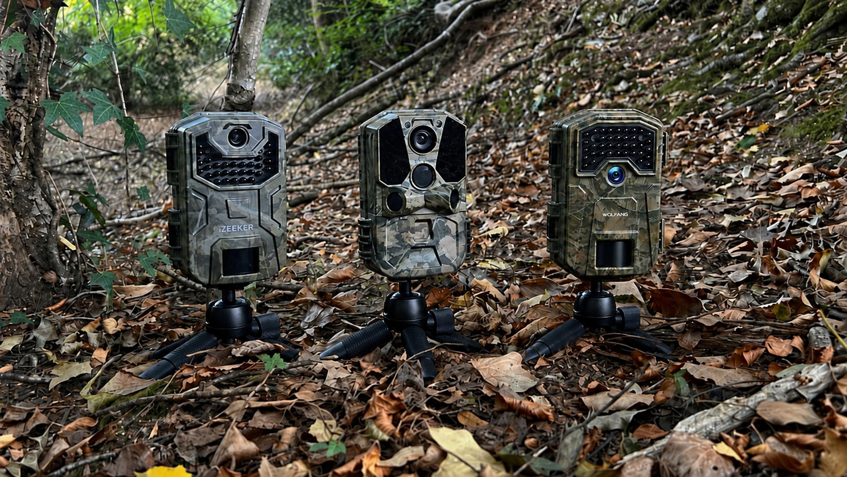 Three trail cameras on small tripods in leaf-covered woodland: iZEEKER on the left, CEYOMUR in the centre and WOLFANG on the right.