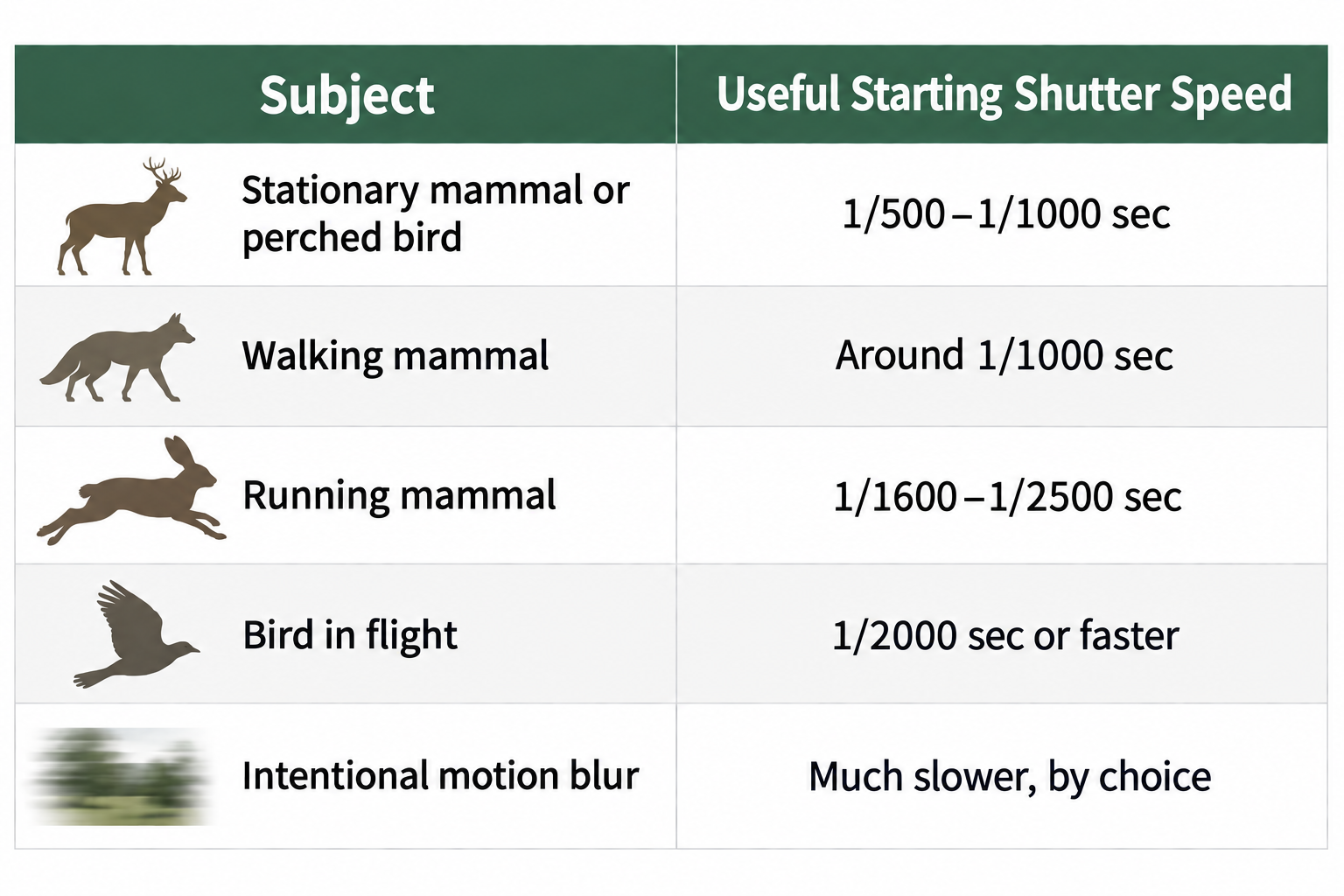 a table of suggested startign shutter speeds for photographing British wildlife