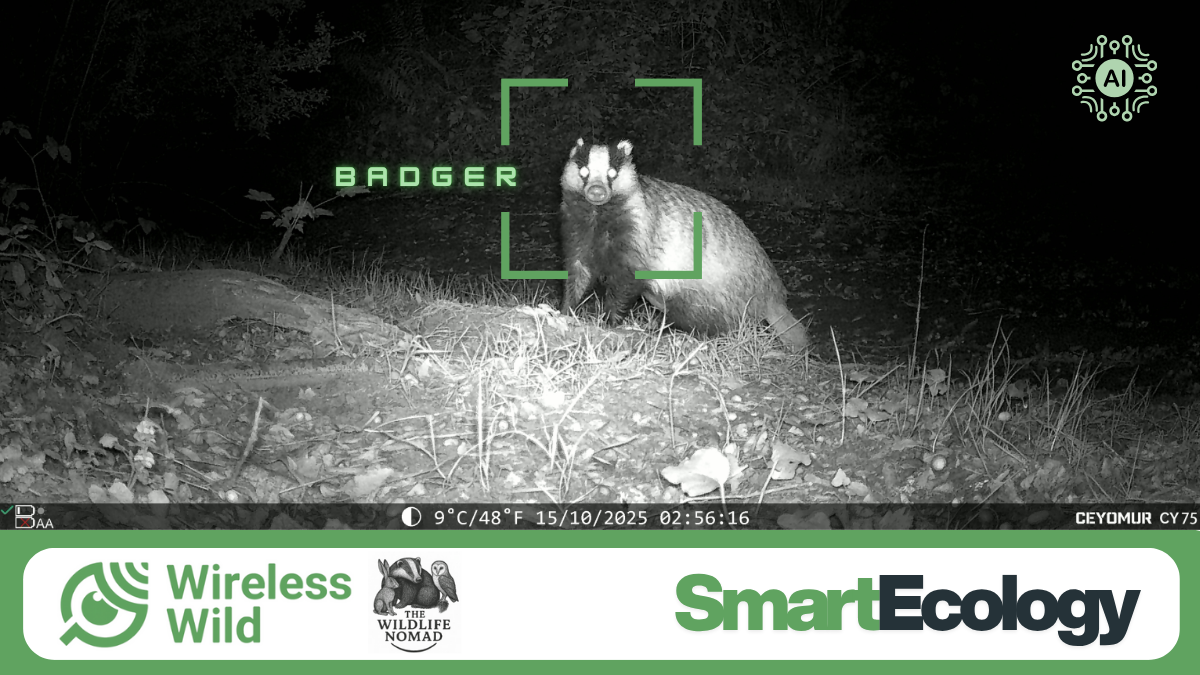 Testing the Future of Wildlife Monitoring with Wireless Wild: How AI is ...