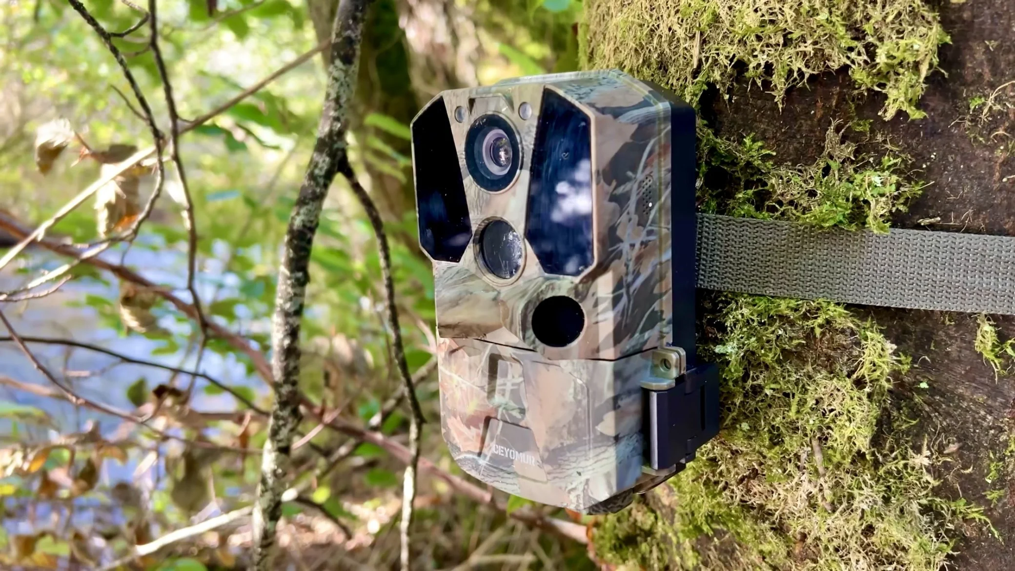 A trail camera mounted to a mossy tree ready to record wildlife.