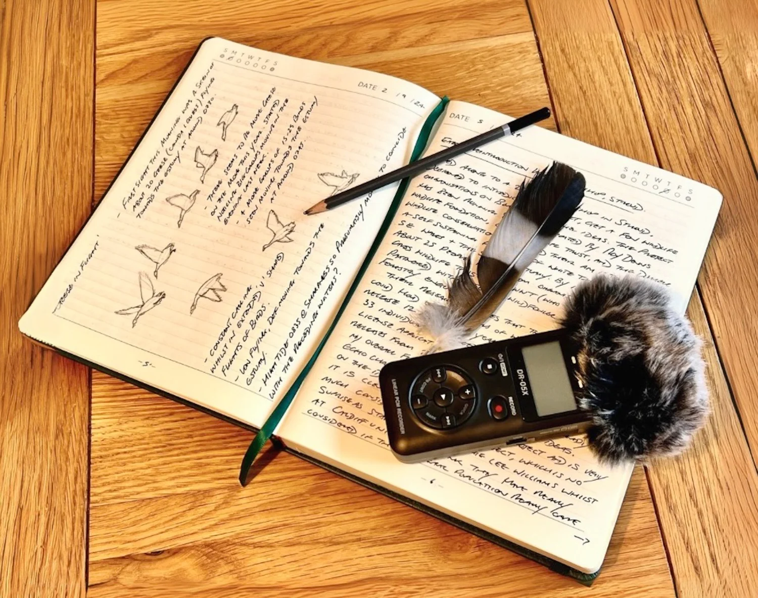 Recording UK Wildlife in the Digital Age: How to Use iNaturalist ...