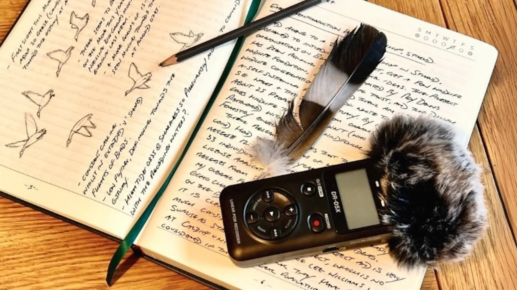 An open notebook which has wildlife notes written in it. On the notebook is a pencil, a pigeon feather and a sound recorder.