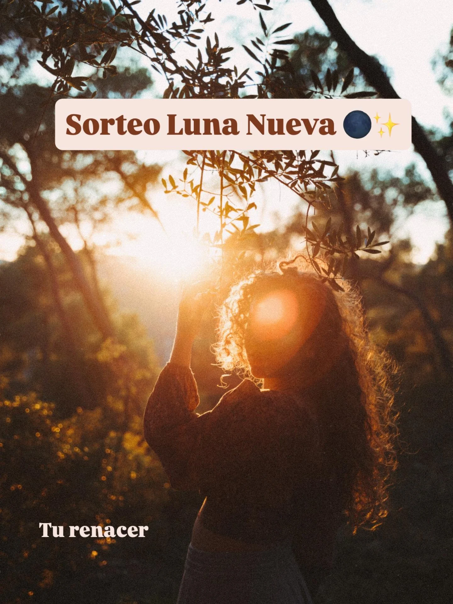🌑✨SORTEO &ndash; Luna Nueva ✨🌑

Reg&aacute;late una sesi&oacute;n de fotos individual.
Para capturar el susurro de tu esencia.

La magia de esta Luna Nueva:
Es un momento para morir y renacer,
para transformar lo que ya no sirve,
y dar espacio a la