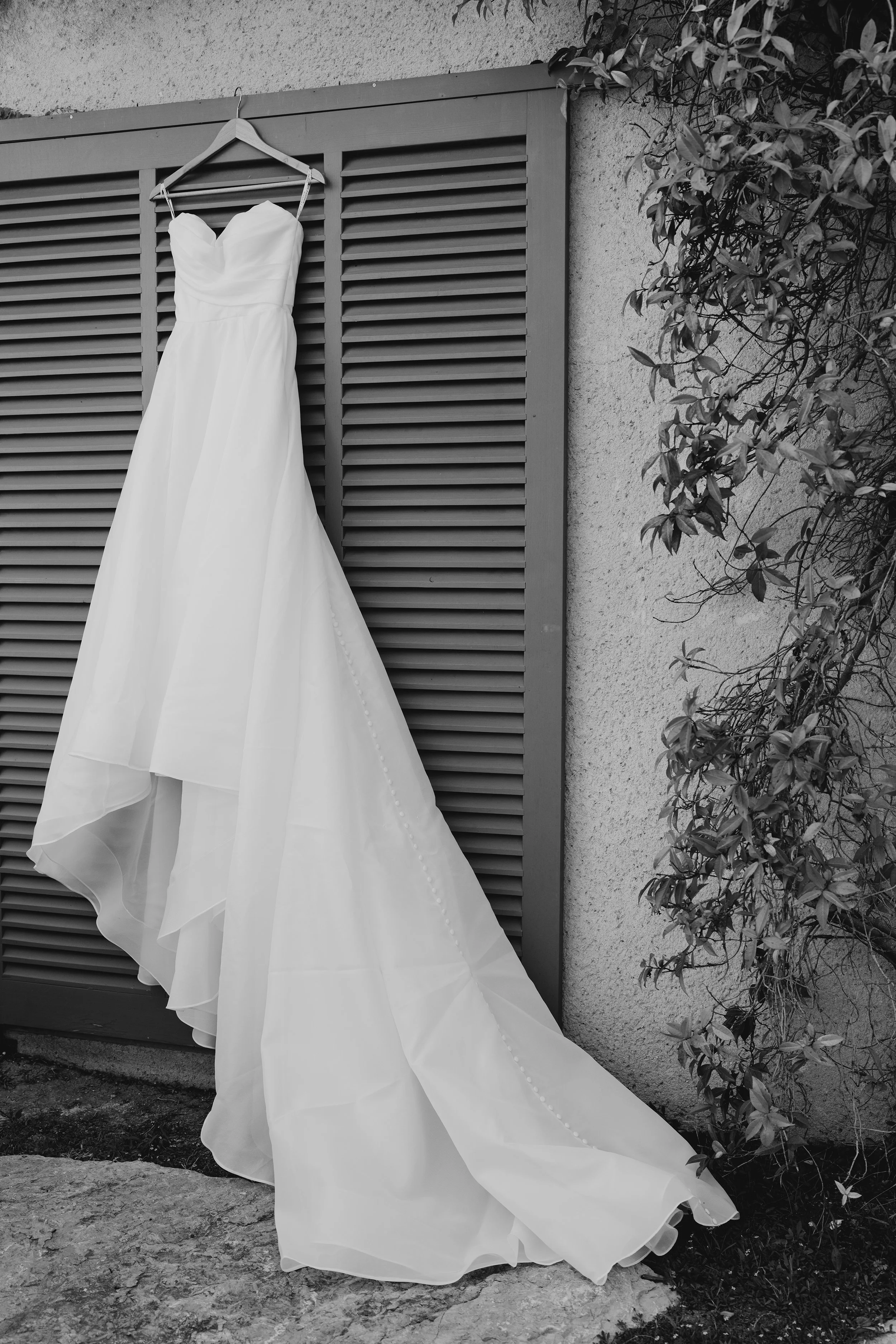 Mathew & Cassidy-1.jpg