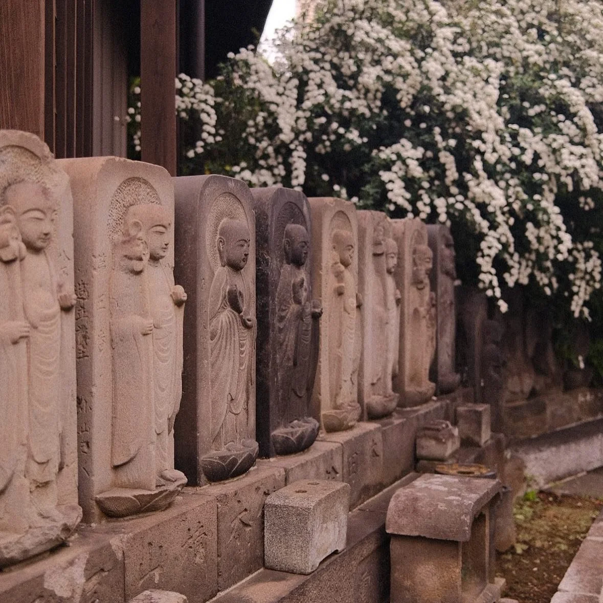 April-October 🇯🇵🇰🇷🏴󠁧󠁢󠁥󠁮󠁧󠁿🏴󠁧󠁢󠁳󠁣󠁴󠁿🇺🇸