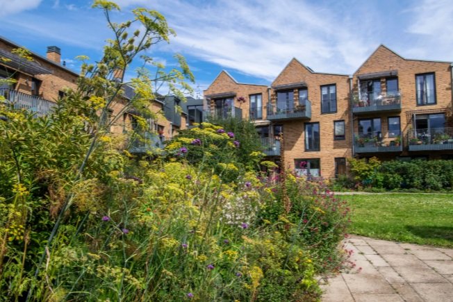 4 Part Series, Part 2 - Women’s Co-Housing: Reimagining Home, Support and Independence