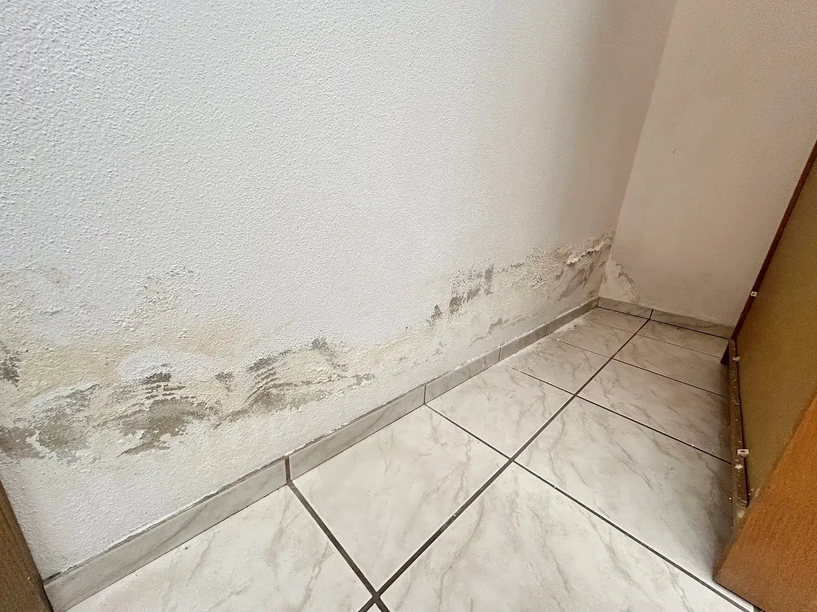 Feuchteschaden an einer Innenwand als Ausgangslage für die Leckortung in Rosenheim-Pang