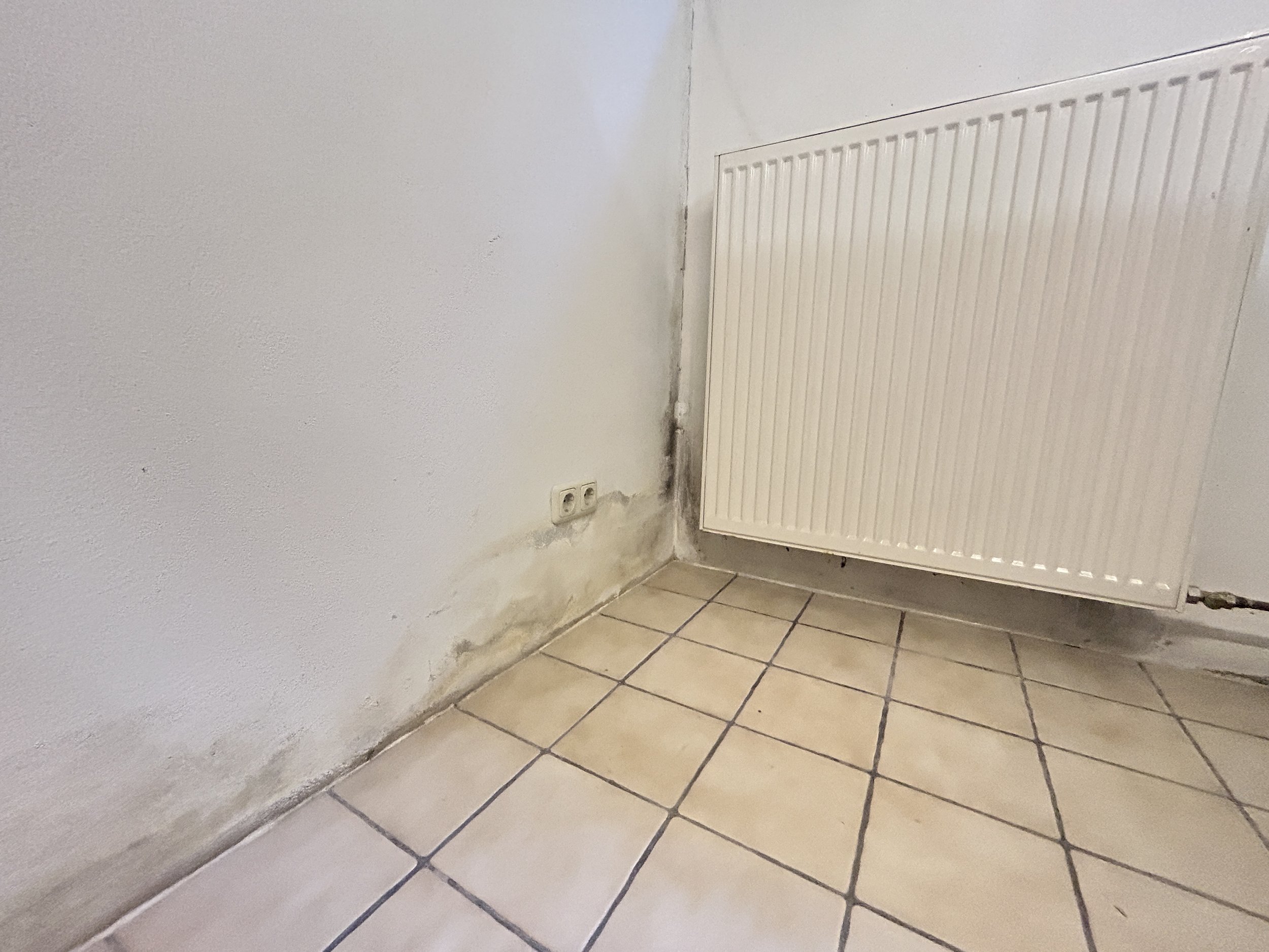 Feuchtespuren am Wand-Boden-Anschluss vor einer Bautrocknung