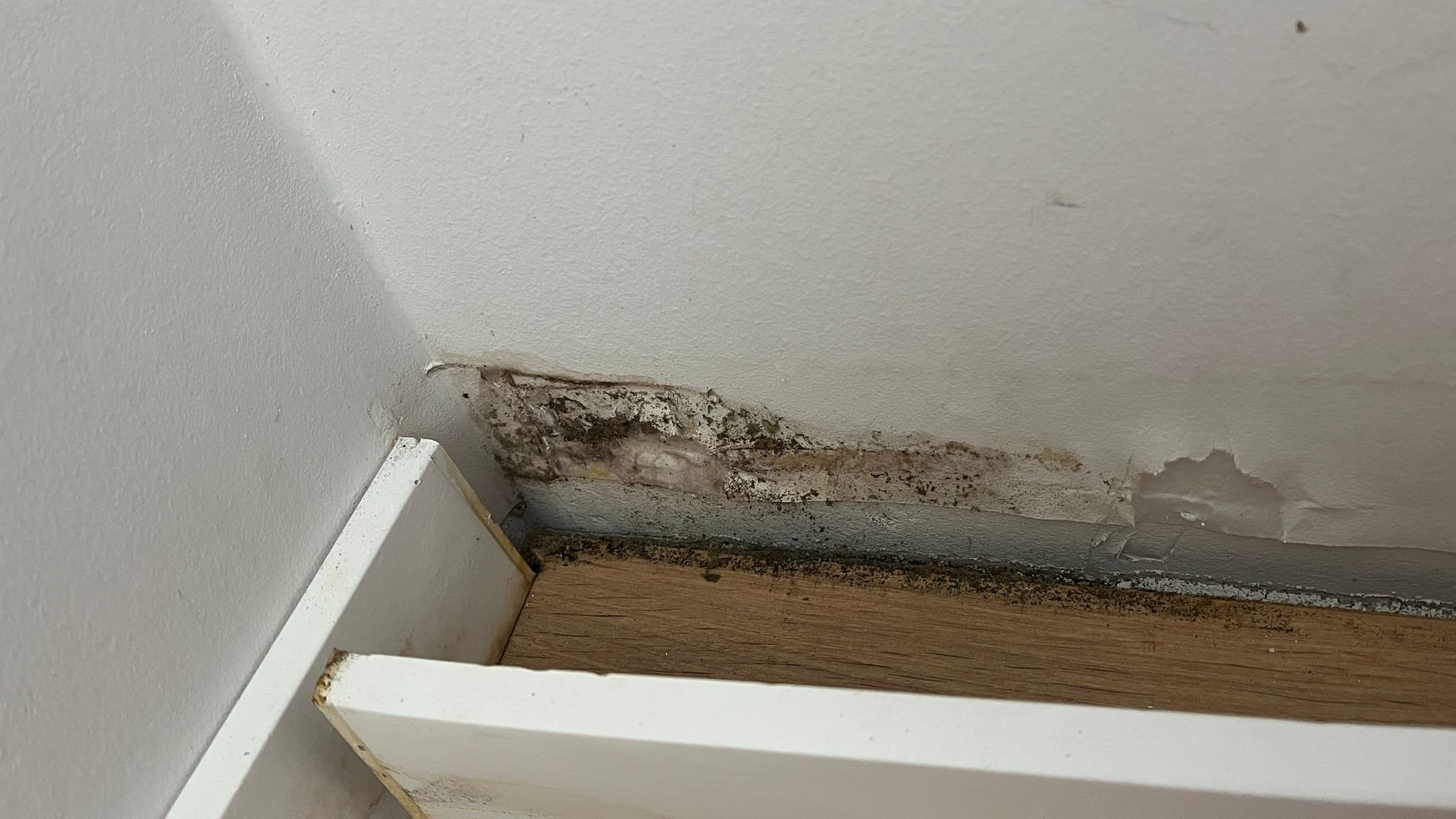 Schimmelbefall im Wand- und Sockelbereich hinter einem Möbelstück