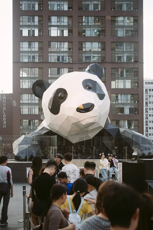 Der Panda ist los – Chengdu