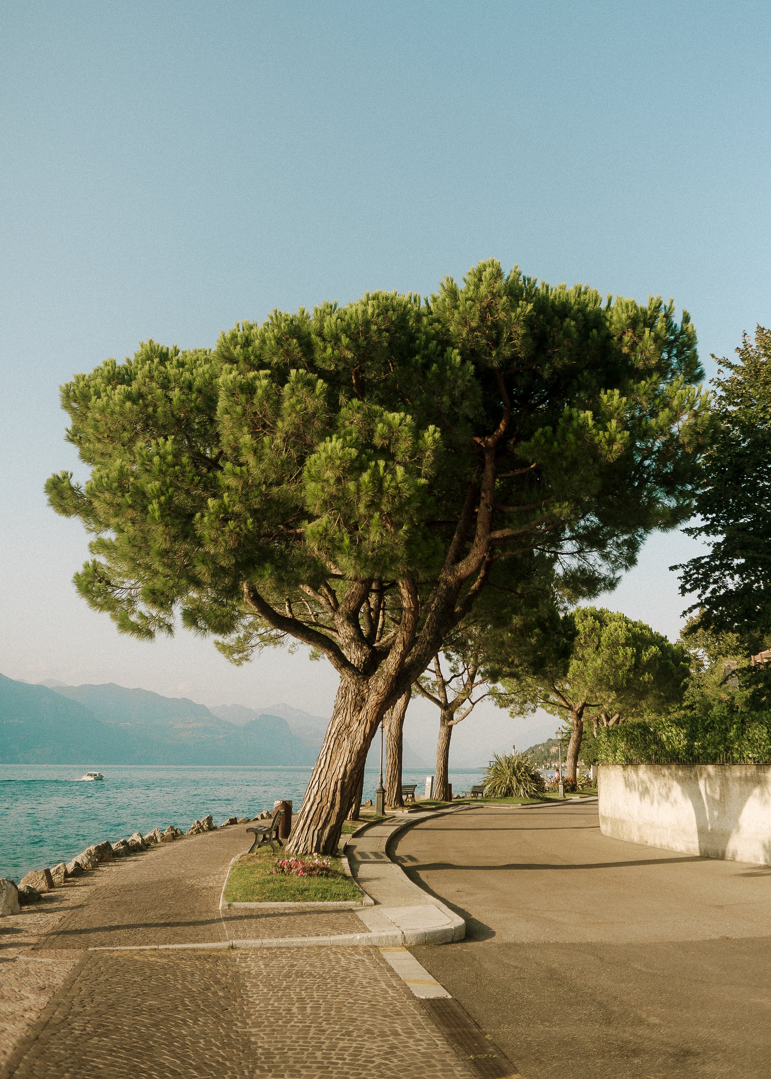 lagodigarda4_50x70-2415.jpg