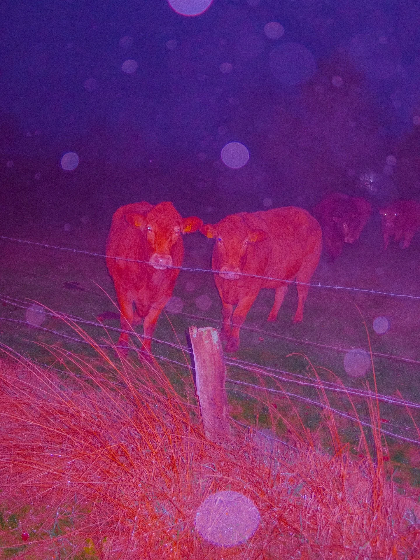 Hey neighbors! 👋🏼 
#canong7xmarkii