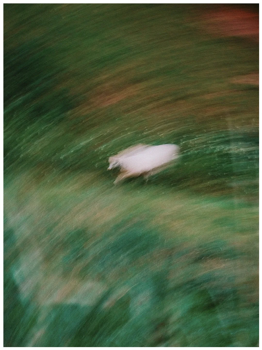 Adding new prints to the shop. I call it the weird animal collection! 

What&rsquo;s your favorite? (1-4)