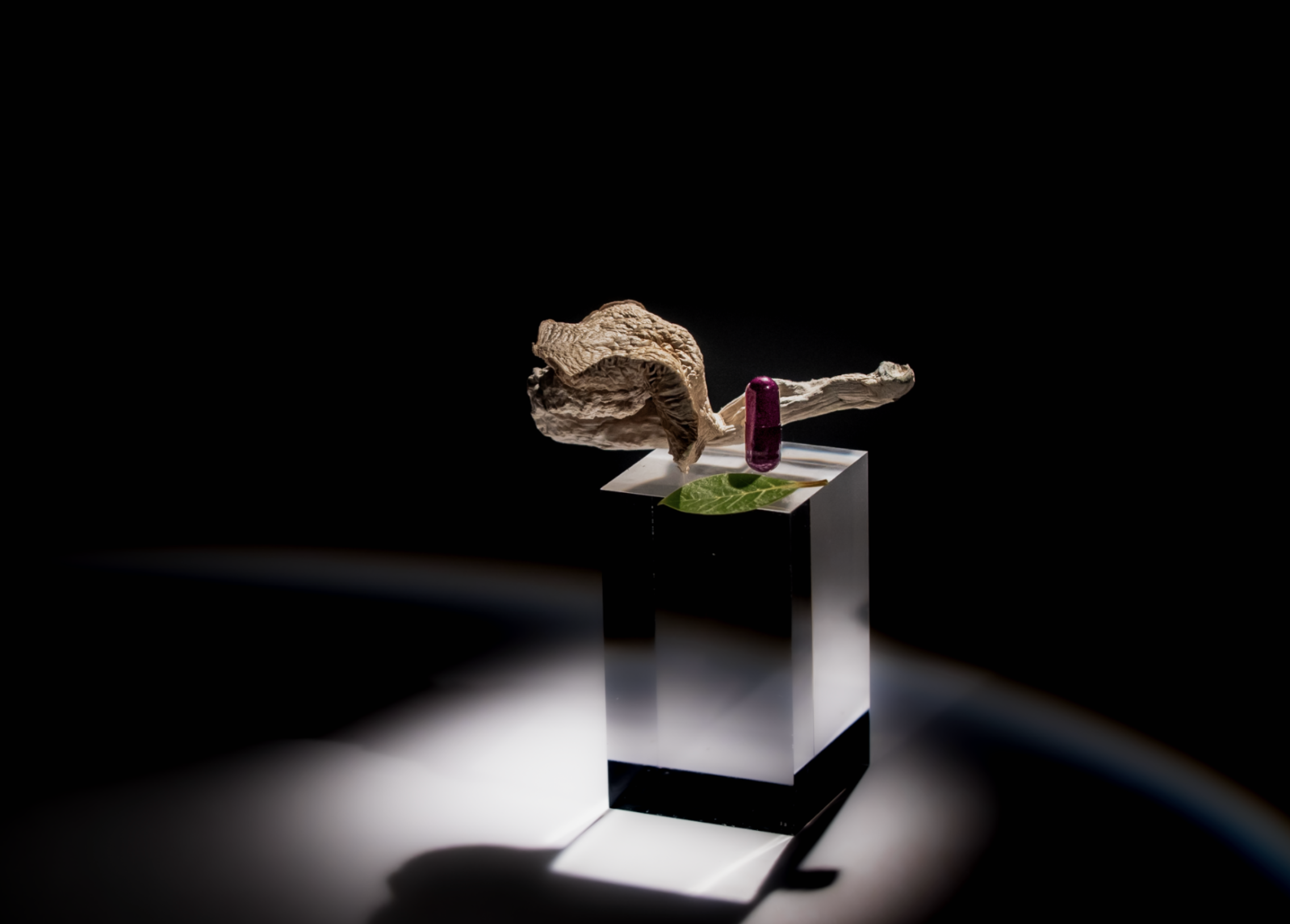 Screenshot 2026-03-12 at 8.50.35 PM.png