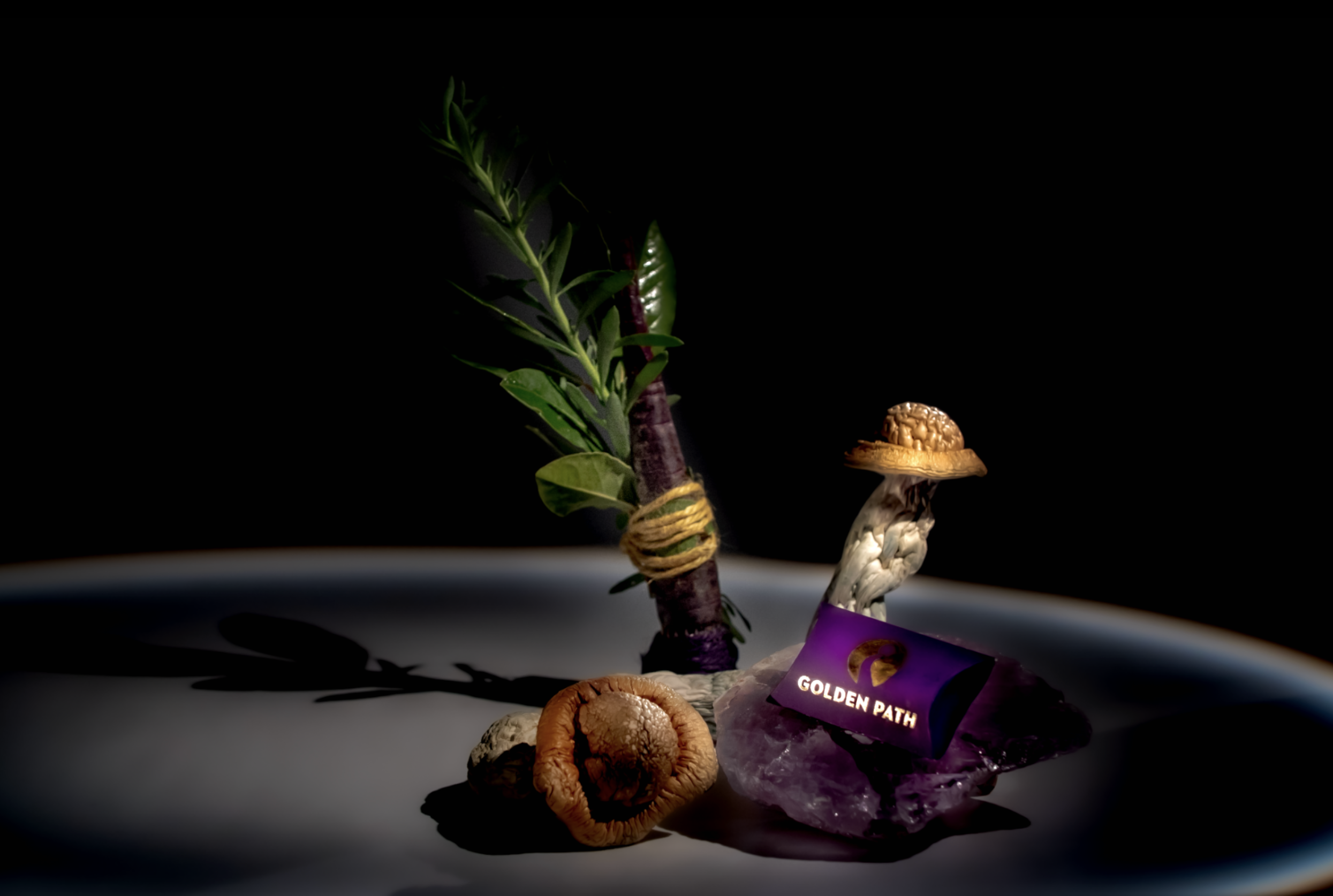 Screenshot 2026-03-12 at 8.50.47 PM.png