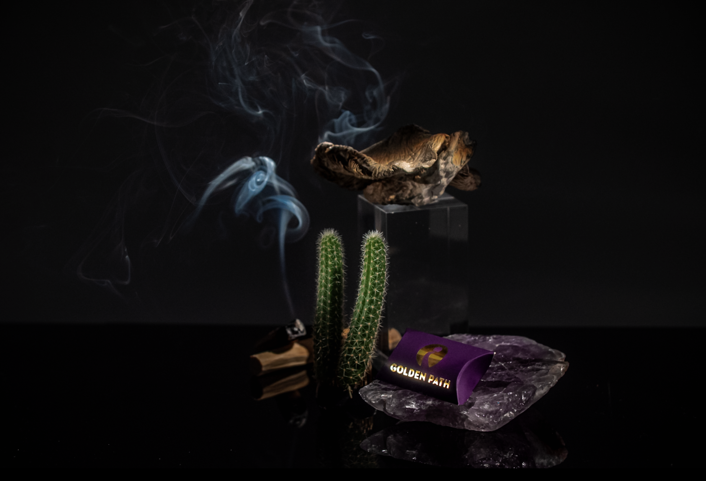 Screenshot 2026-03-12 at 8.51.03 PM.png