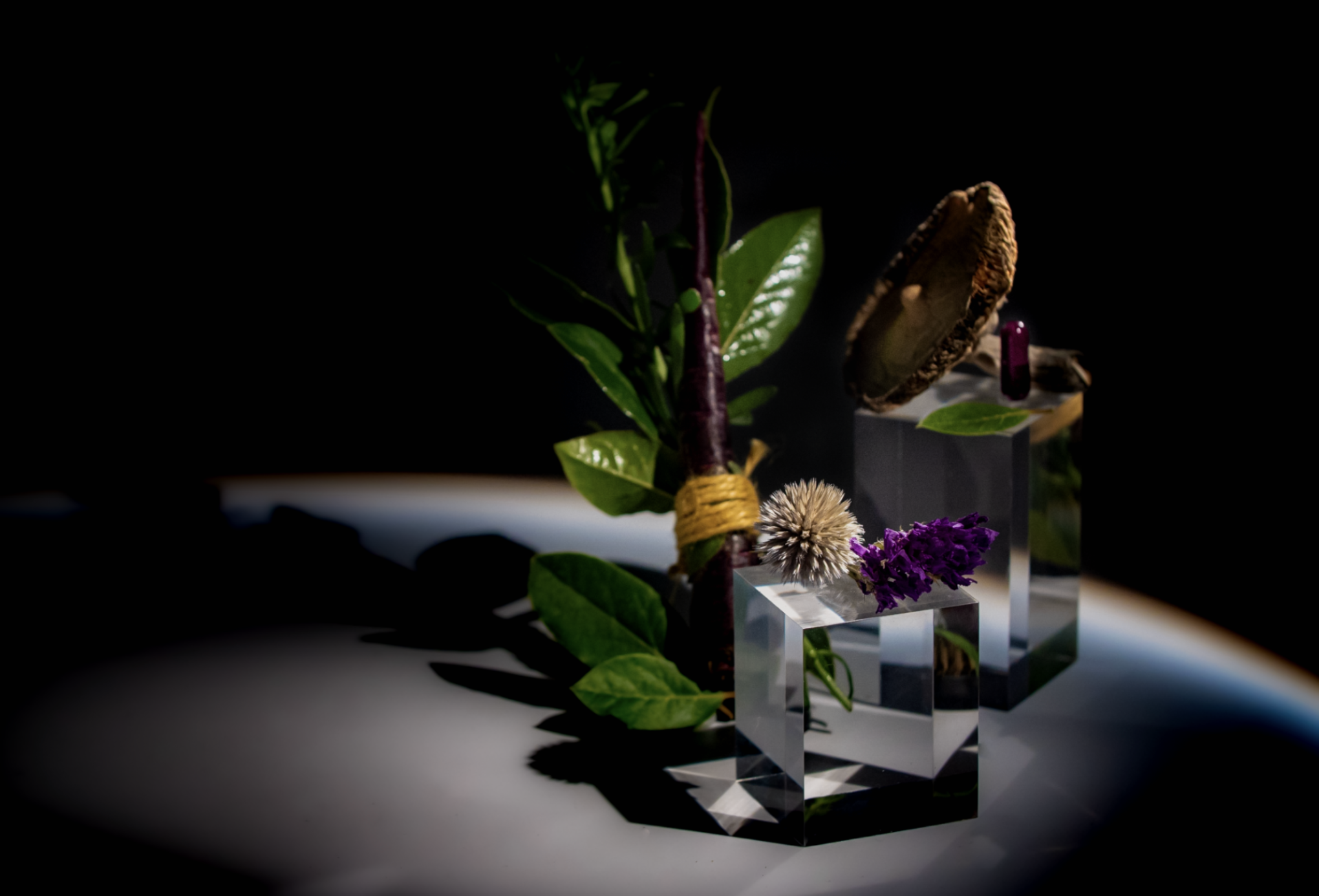 Screenshot 2026-03-12 at 8.50.14 PM.png