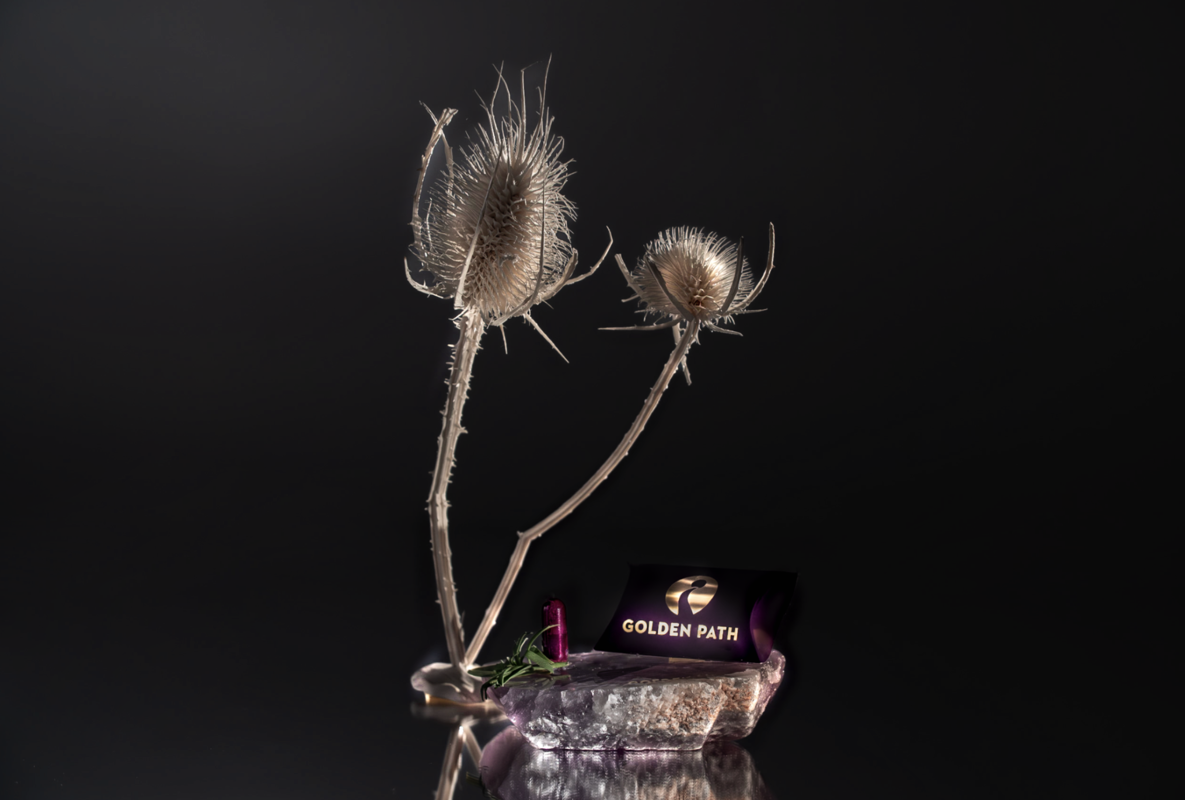 Screenshot 2026-03-12 at 8.49.54 PM.png