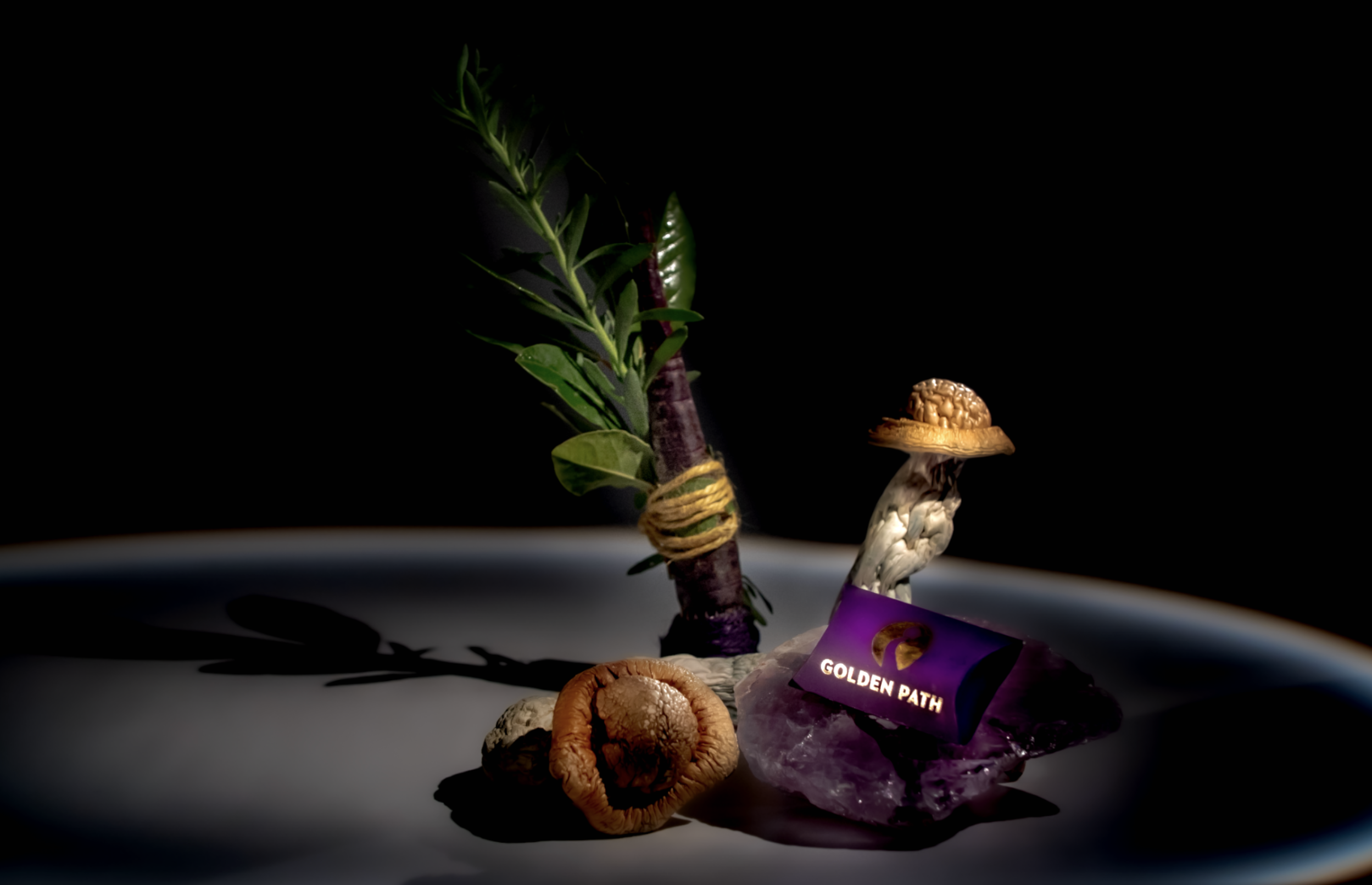 Screenshot 2026-03-12 at 8.49.09 PM.png