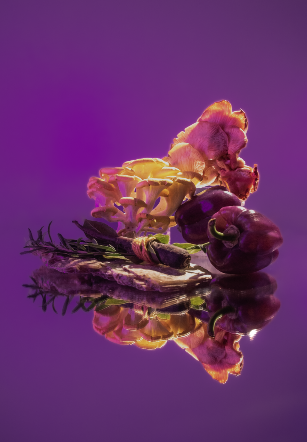 Screenshot 2026-03-12 at 8.49.36 PM.png