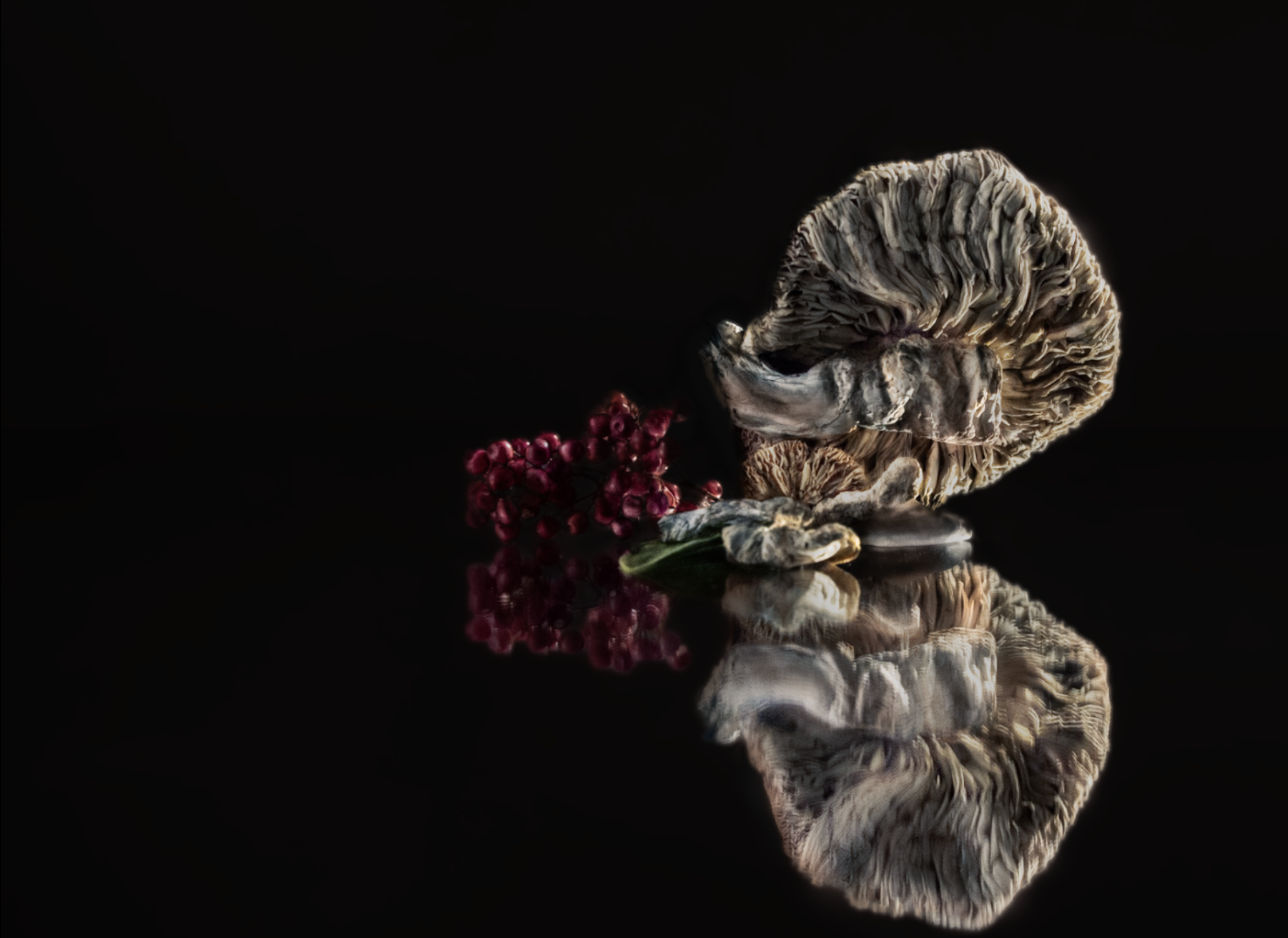 Screenshot 2026-03-12 at 8.50.16 PM.png