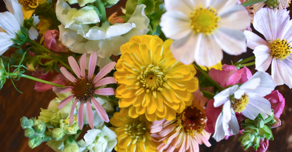 Best Cut Flower Perennials — Willow Creek Flower Farm