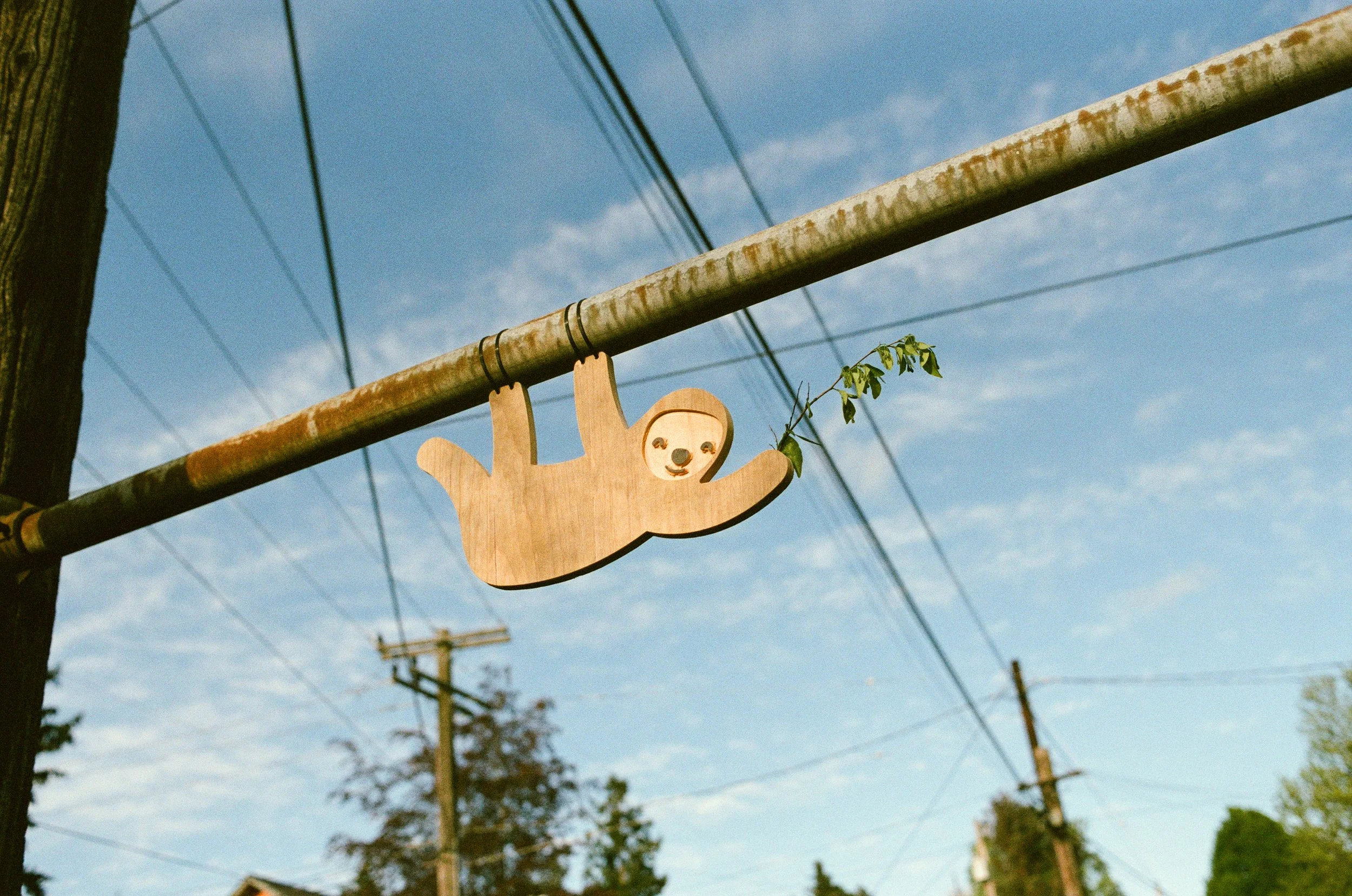 A wooden bear sign hanging from a wire, with a clear blue sky and utility poles in the background.