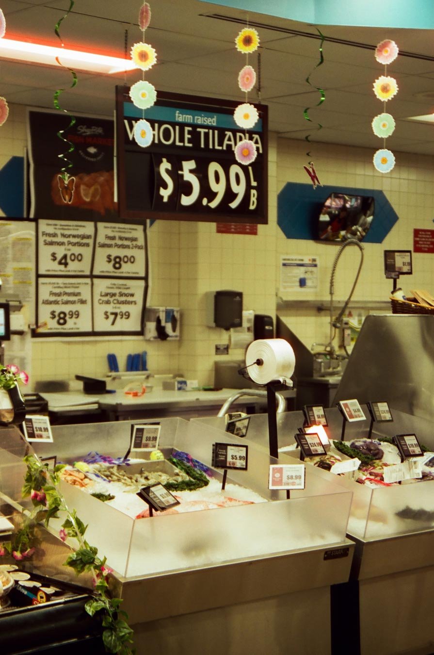 Modern Fish Monger, 2024