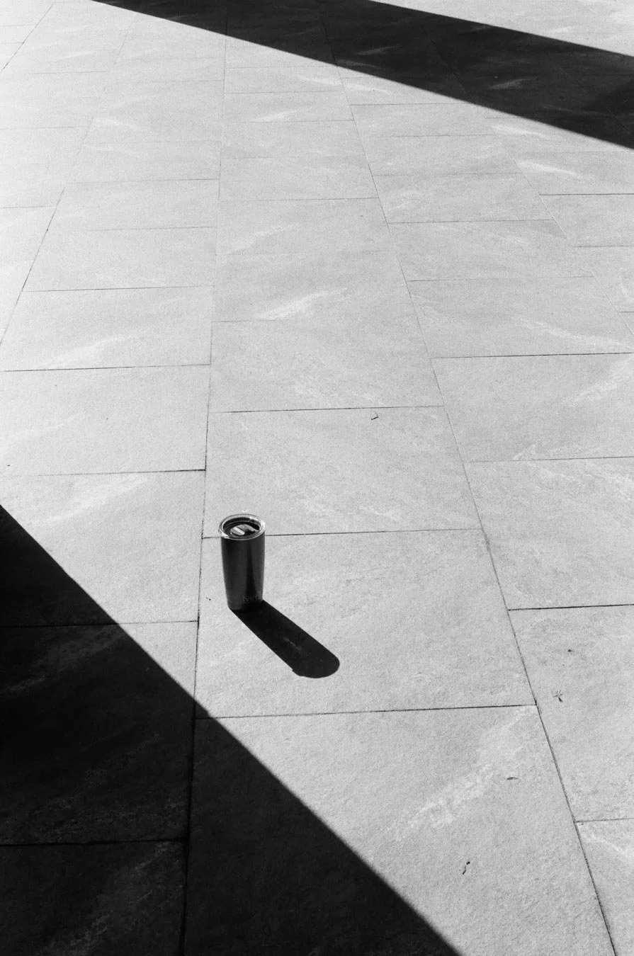 Tumbler in the Sun, 2024