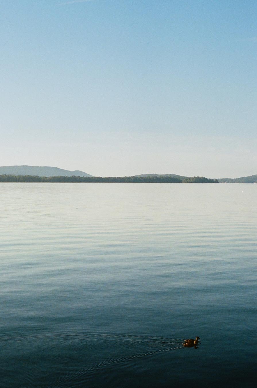 Two Ducks Together, 2024