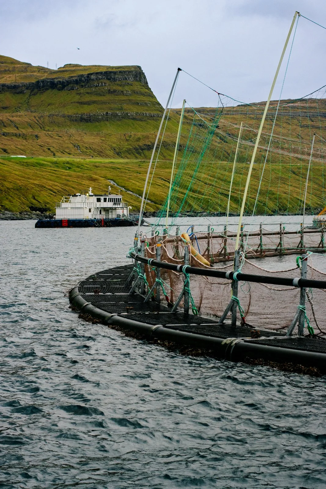 2025-11-12-faroe-islands-37.jpg