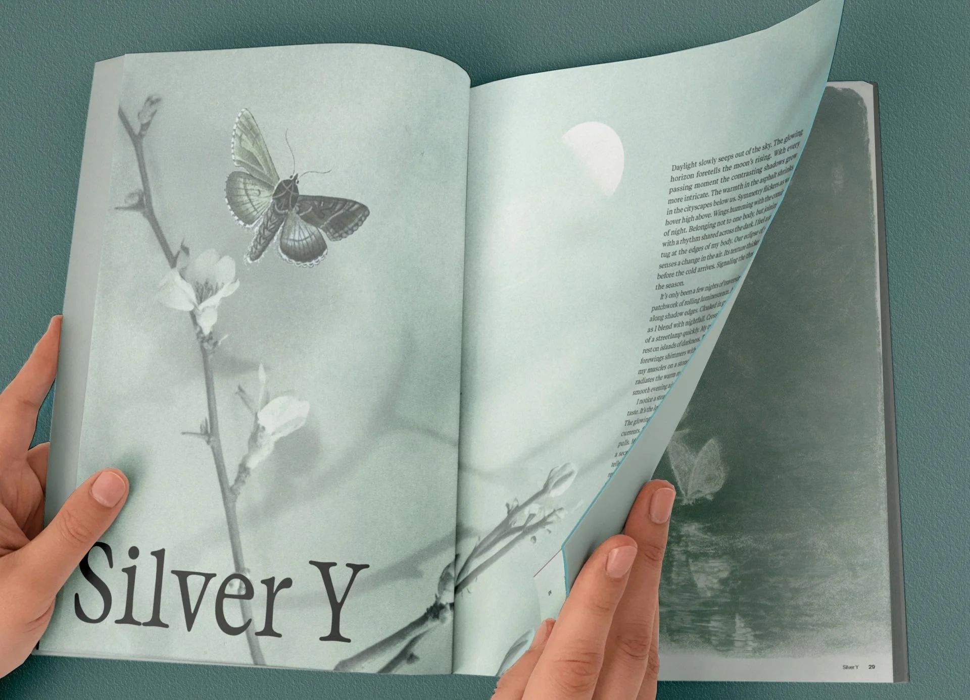 someone turning the page for of an article about a Silver Y moth