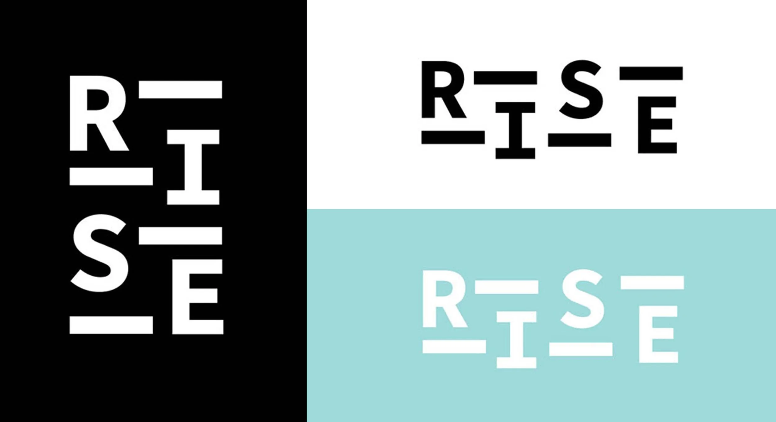 A logo that says "rise" on black, write and blue background